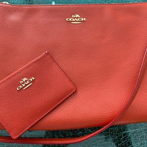 Coach Crossbody Bag and Card Wallet